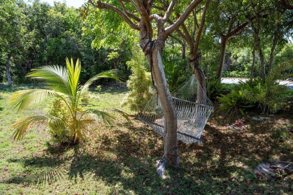 Key Lime Cottage Home Alice Town  Exterior photo